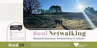 Soul Netwalking primary image