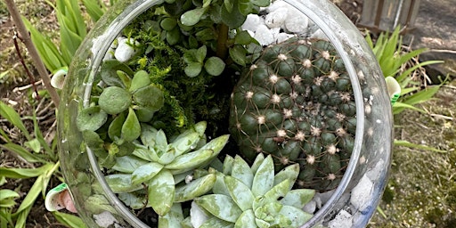 Imagem principal de House Plant 101: Terrarium Edition!