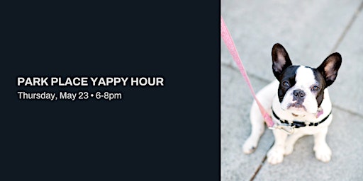 Imagem principal do evento May Yappy Hour