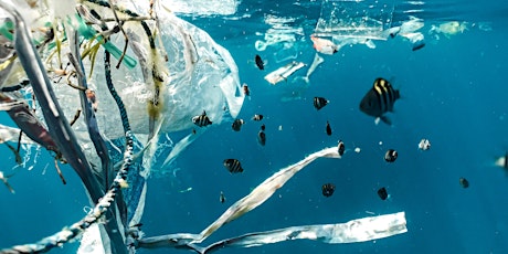 Imagen principal de Reducing Plastics (webinar)