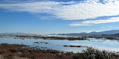 Imagen principal de Point Blue Novato Baylands Tidal Marsh Restoration Day