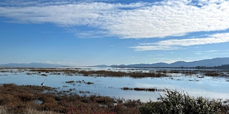 Point Blue Novato Baylands Tidal Marsh Restoration Day