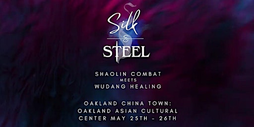 Silk & Steel Conference primary image