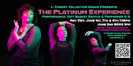 L-Theory Collective Dance presents The Platinum Experience