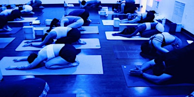 Hauptbild für Micro Dose Yoga Class & Meet Up