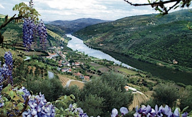 Explore the Wines of Portugal and Spain - A Virtual Cruise on the Douro River primary image