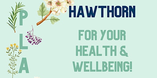 Imagem principal do evento Plant Talk - Hawthorn For Your Health & Wellbeing