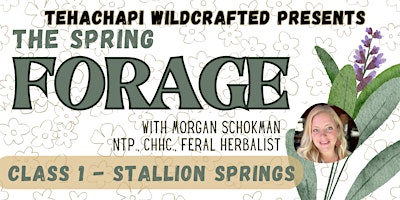 The Spring Forage- Learn to identify and use edible & medicinal plants in Tehachapi, CA primary image