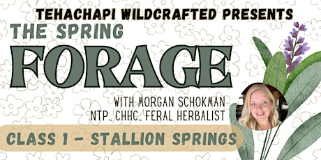 The Spring Forage- Learn to identify and use edible & medicinal plants in Tehachapi, CA
