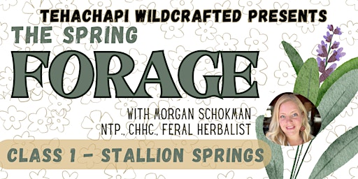 Hauptbild für The Spring Forage- Learn to identify and use edible & medicinal plants in Tehachapi, CA