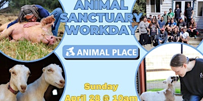 Imagem principal do evento Animal Sanctuary Workday