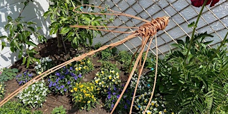 Weave Your Own Willow Dragonfly Sculpture