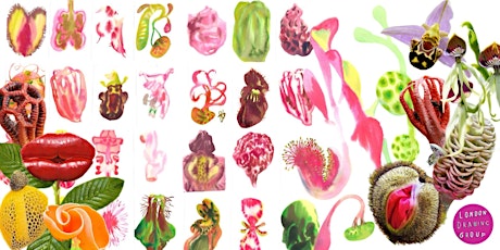 Image principale de WEIRD BOTANY: ABSTRACT WATERCOLOURS (recording only)