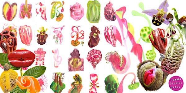 WEIRD BOTANY: ABSTRACT WATERCOLOURS