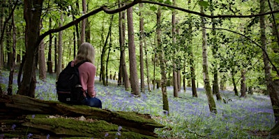 Imagem principal de Photography Walks for Wellbeing - Bluebells in Abbot's Wood