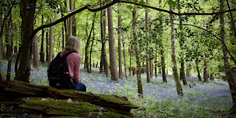 Photography Walks for Wellbeing - Bluebells in Abbot's Wood