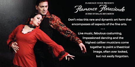 Flamenco Night at Turkish Cafe