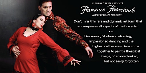Hauptbild für Flamenco Night at Turkish Cafe
