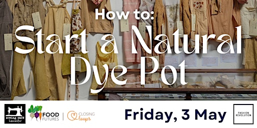 Imagem principal do evento How to: Start a Natural Dye Pot