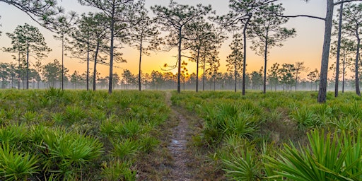 Imagem principal do evento D Ranch Preserve Trail Building Day