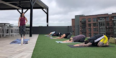 Hauptbild für Yoga on the Rooftop at Hoppin’ GVL