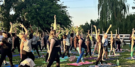 Wine Down with Alpaca Yoga