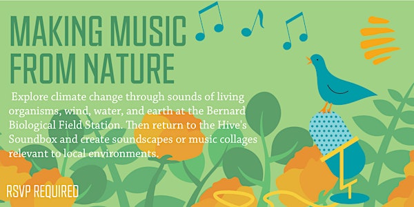 Making Music from Nature