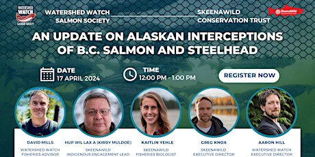 An update on Alaskan interceptions of B.C. salmon and steelhead