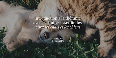 Introduction à la thérapie avec les huiles essentielles chez les chats et les chiens