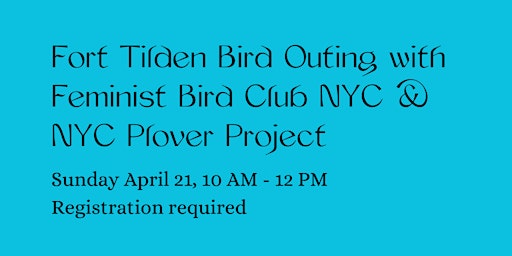 Imagen principal de Fort Tilden Bird Outing with Feminist Bird Club NYC & NYC Plover Project