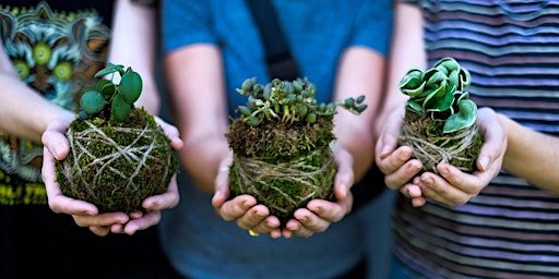 Primaire afbeelding van Kokedama Workshop