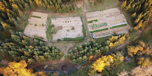 Imagen principal de No Till Growing Maintenance and Composting