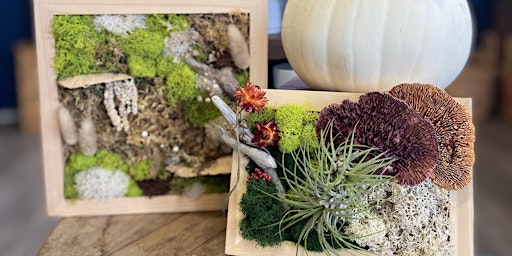 Image principale de Moss Wall Art Workshop