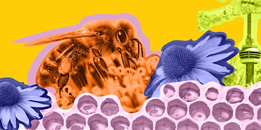 A Taste of Beekeeping in Toronto primary image