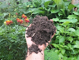 Imagem principal de Nutrient Cycling and making your own fertilisers