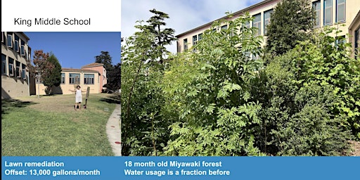 Hauptbild für Miyawaki Forest Academy