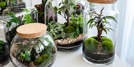 Mini Worlds Closed Terrariums