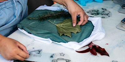 Imagem principal de Wetlands Cyanotypes with Photoaccess