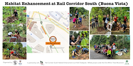 Hauptbild für Habitat Enhancement @Rail Corridor South (Buona Vista) May 2024