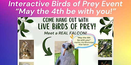 Imagem principal do evento Interactive Birds of Prey Event - May the 4th be with you!