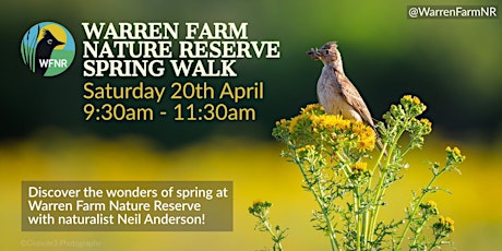 Warren Farm Nature Reserve Spring Walk