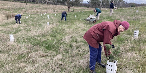 Revegetation - Planning for Success! - Lobethal 14th June 2024