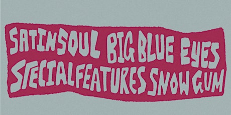 BigBlueEyes, Special Features, Satin Soul and Snowgum @ The Bearded lady