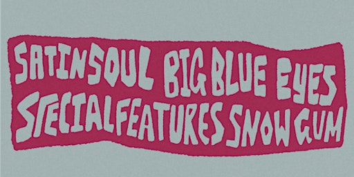 Primaire afbeelding van BigBlueEyes, Special Features, Satin Soul and Snowgum @ The Bearded lady