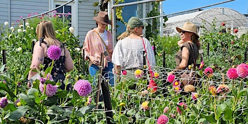 Immagine principale di Dahlia Cutting Day 