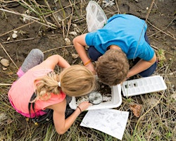 Pond Dipping - Creatures from the Yeading Brook primary image