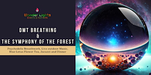 DMT breathing and the symphony of the forest ( Live into the wilds) primary image
