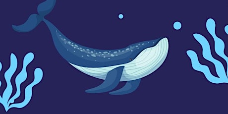 Create | Whale Wonderings