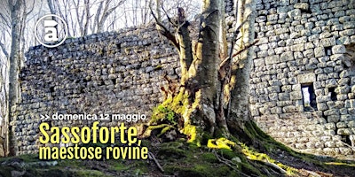 Immagine principale di Sassoforte, maestose rovine 