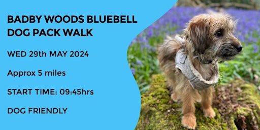 Primaire afbeelding van BADBY WOODS BLUEBELL DOG PACK WALK | 5 MILES | MODERATE | NORTHANTS